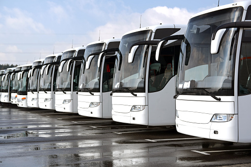 Front left side shot on the white tourist buses (coaches) in a row on the parking.