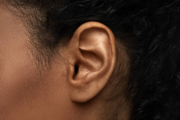 Body parts in details - Closeup view of black female ear