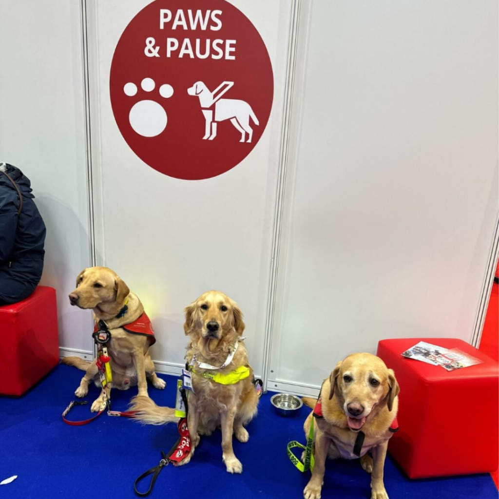 3 assistance dogs sat on a blue carpet in front of a white wall with a red "Paws and Pause" circular logo on.