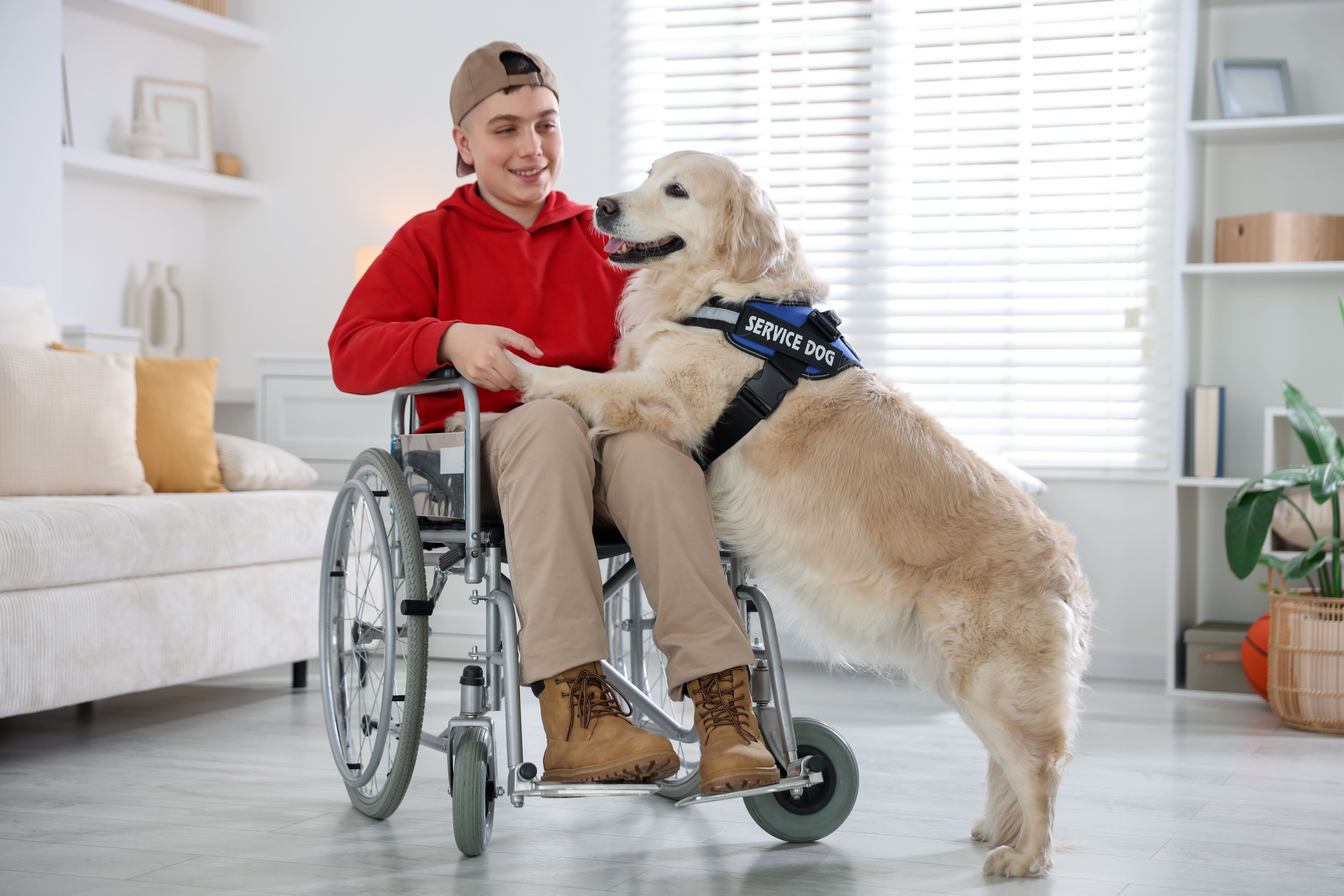 A boy using a wheelchair, holding his dog’s paws as the dog reaches for his lap.
